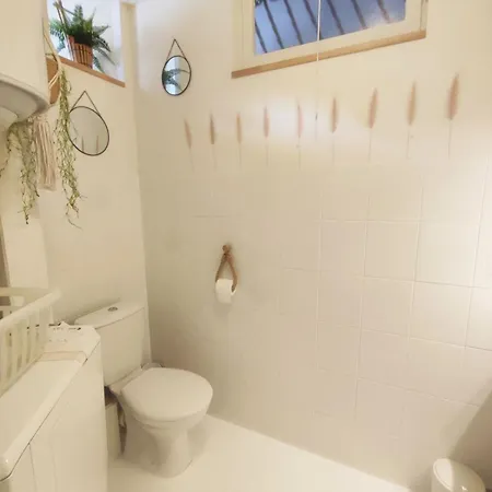 Daire La Coquille Sète